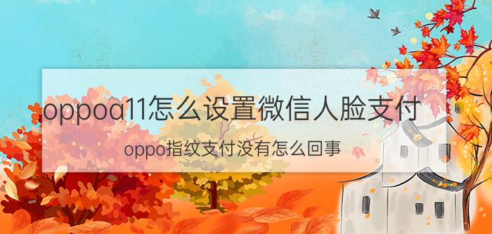 oppoa11怎么设置微信人脸支付 oppo指纹支付没有怎么回事？